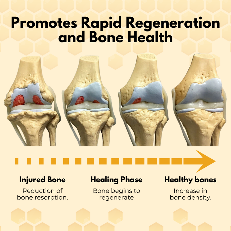 Επιθέματα  Θεραπείας Αρθρώσεων με Δηλητήριο Μέλισσας